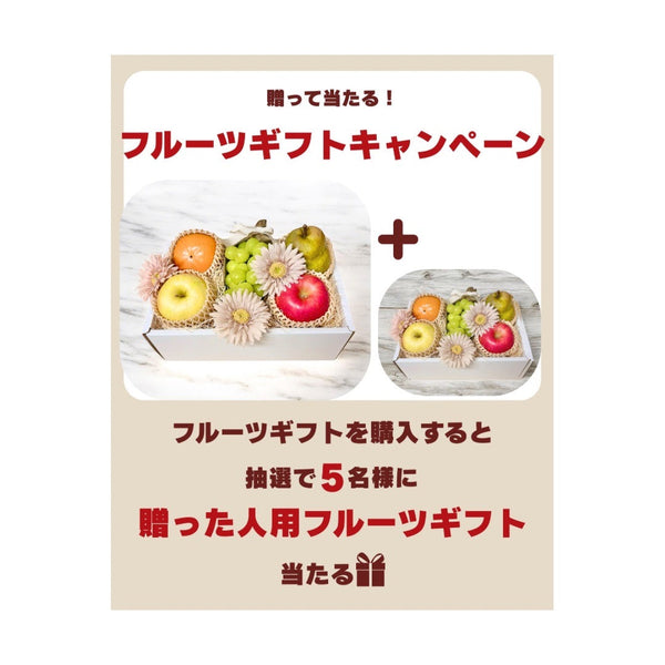 フルーツギフトキャンペーン　詳しくはこちら>>