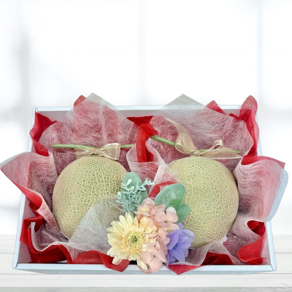 マスクメロン (約1.4kg) 2玉