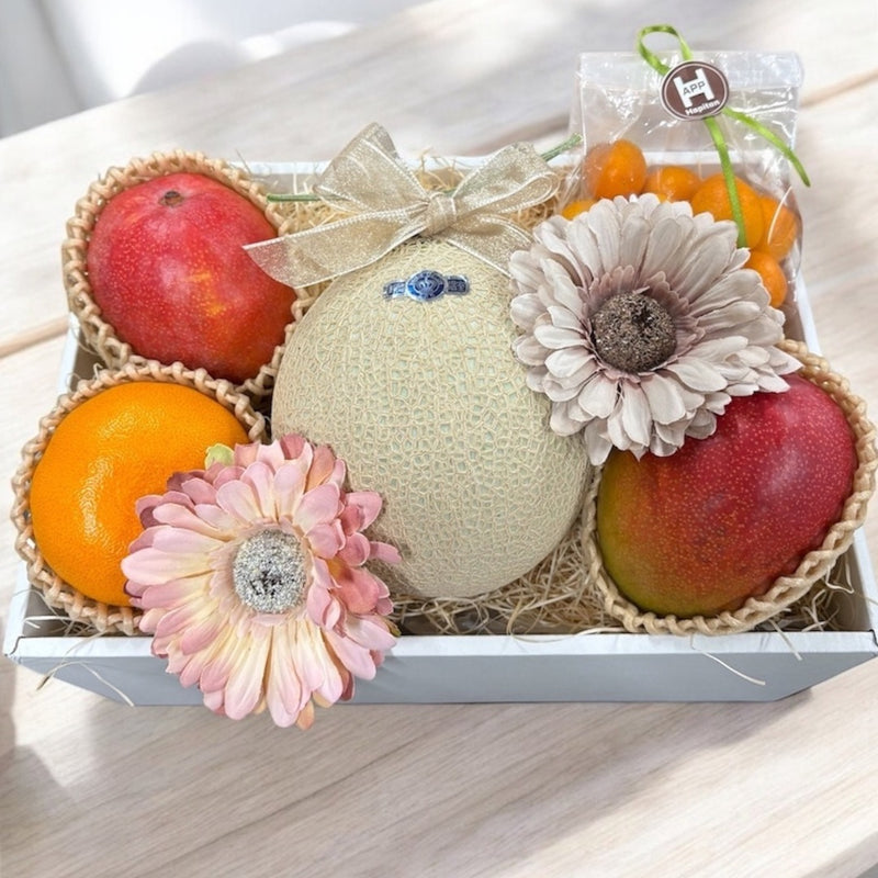 静岡県産マスクメロンと季節の果物が奏でる 旬果のアソート  - A - (リース付き)