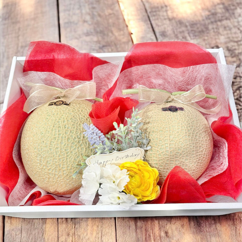 静岡県産 マスクメロン (約1.4kg) 2玉