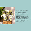 季節の果物が奏でる 旬果のアソート - E - (リース付き)