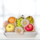 季節の果物が奏でる 旬果のアソート - P - (リース付き)
