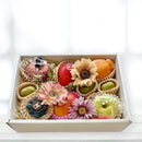 季節の果物が奏でる 旬果のアソート - E - (リース付き)