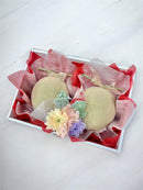 マスクメロン (約1.4kg) 2玉