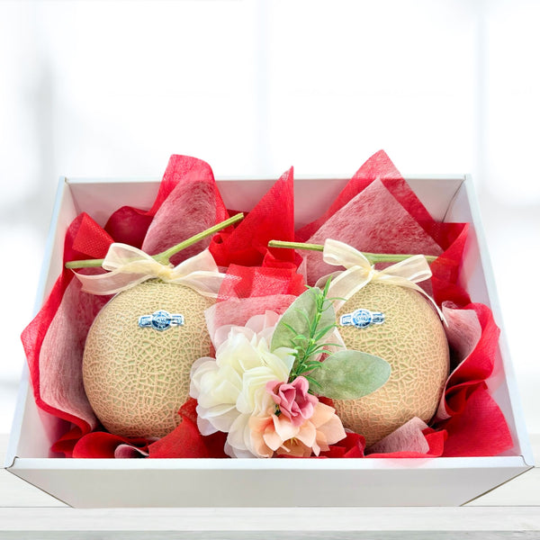 静岡県産 クラウンメロン (約1.4kg) 2玉