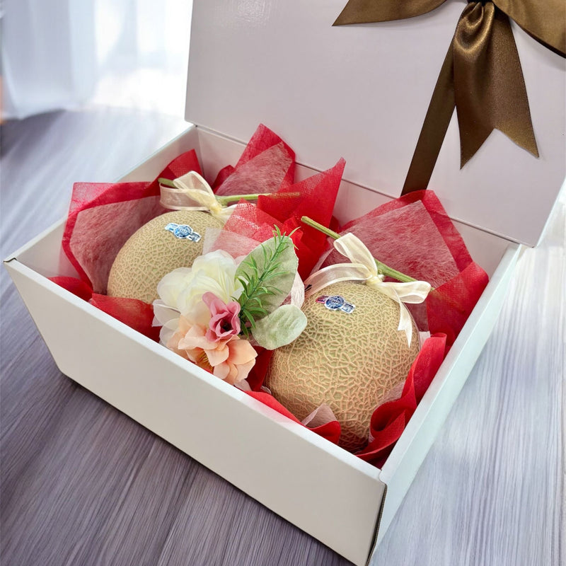 静岡県産 クラウンメロン (約1.4kg) 2玉